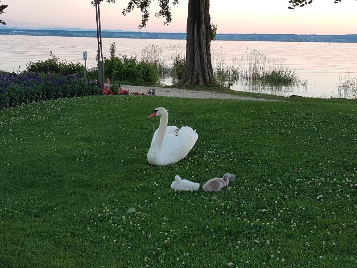 Malvelyns Am Bodensee Immenstaad am Bodensee Zewnętrze zdjęcie